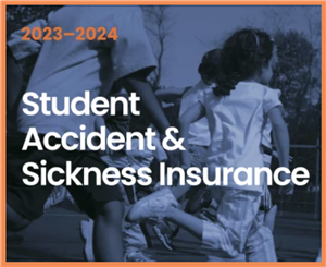  Insurance